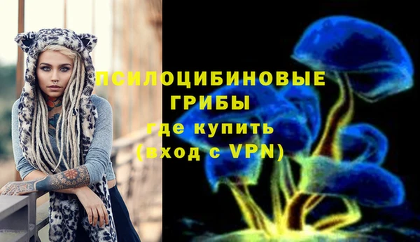 2c-b Нефтегорск