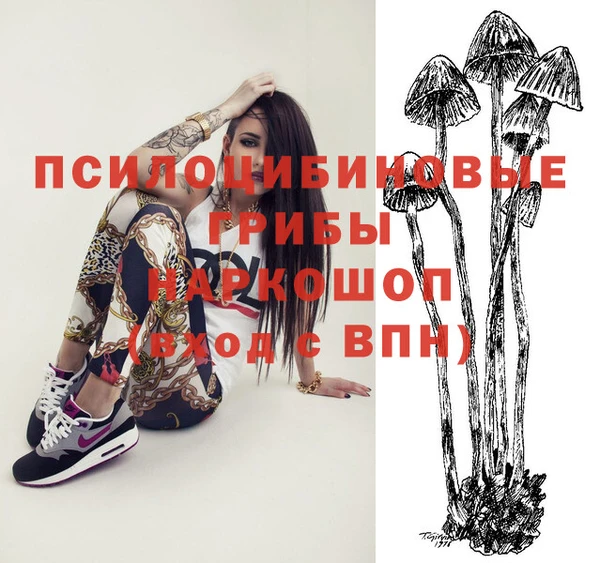 кокаин колумбия Алексин