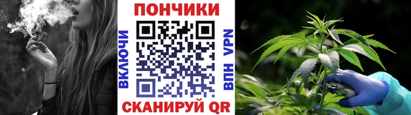 Бошки марихуана план  закладки  площадка телеграм  Мензелинск 